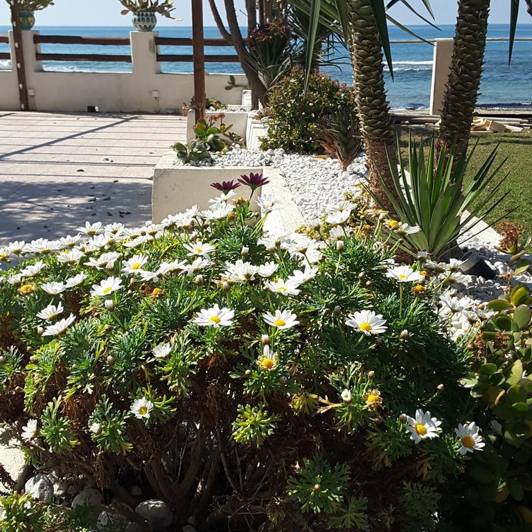 Hotel E Residence Il Faro אצ'יארולי מראה חיצוני תמונה
